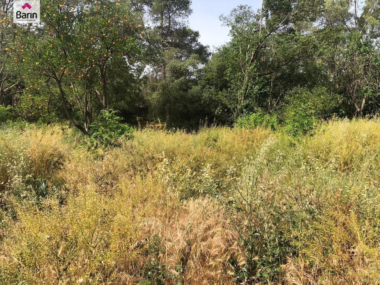 Land in Córdoba, Córdoba for sale Primary Photo- Image 1 of 2