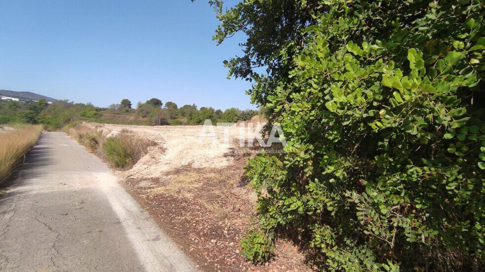 Parcela, 4, Agullent, Valencia à louer - Plan de site - Image 3 de 7