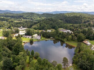 Plus de détails pour 8826 Boylston Hwy, Mills River, NC - Flex à vendre