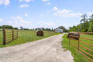 Plus de détails pour 130 Strawberry ln, Pomona Park, FL - Terrain à vendre