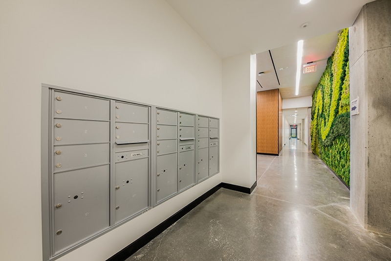 3212 E Cesar Chavez St, Austin, TX for lease - Interior Photo - Image 3 of 15