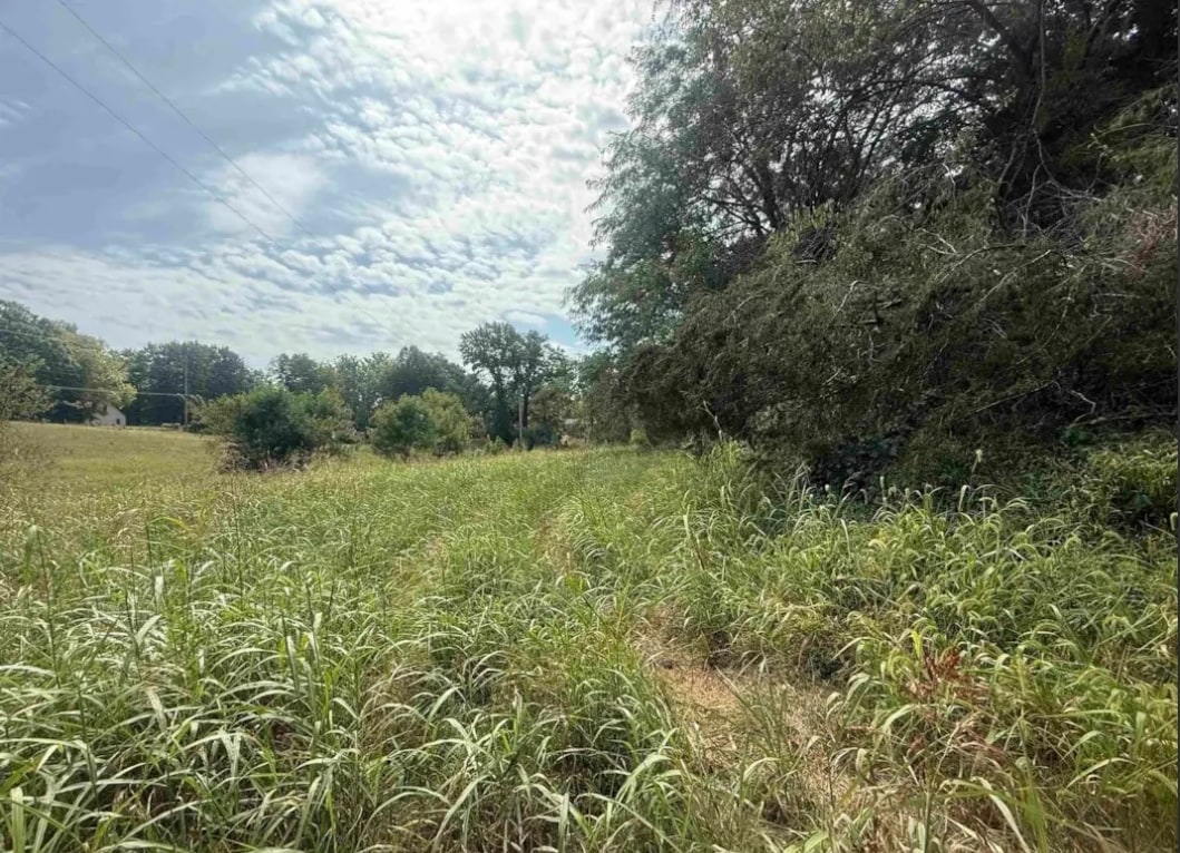 00 Wood Rd, Murphysboro, IL for sale Primary Photo- Image 1 of 23