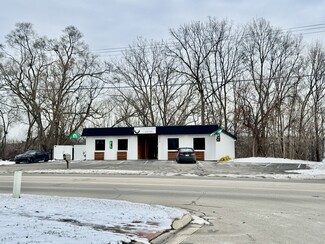 Plus de détails pour 314 Arlington St, Middleville, MI - Vente au détail à vendre