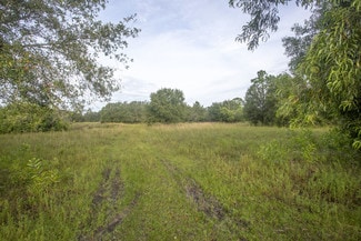Plus de détails pour 13300 Apaloosa Ln, Fort Myers, FL - Terrain à vendre