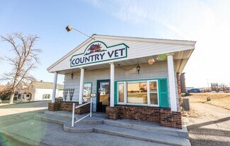 Plus de détails pour 217 Lake St, Alexandria, MN - Commerce de détail à vendre