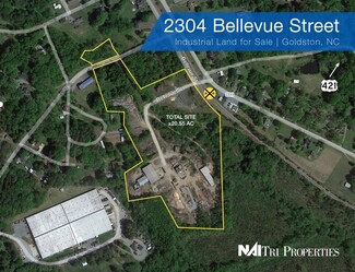 Plus de détails pour 2304 Bellevue St, Goldston, NC - Terrain à vendre