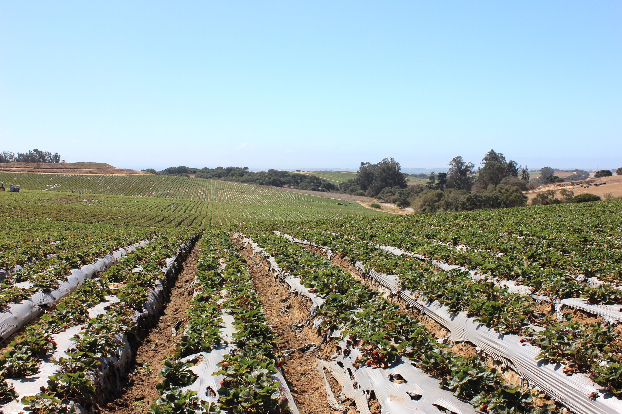 16475 Blackie Rd, Salinas, CA for sale Primary Photo- Image 1 of 24