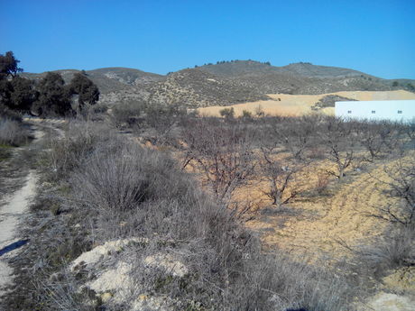 Land in Cehegín, Murcia for sale - Site Plan - Image 3 of 8