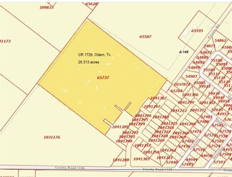 Plus de détails pour 5070 County Road 2047, Odem, TX - Terrain à vendre