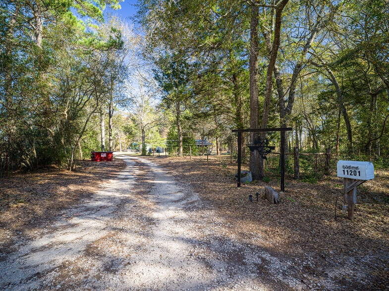 11201 County Road 203, Plantersville, TX for sale - Building Photo - Image 3 of 63