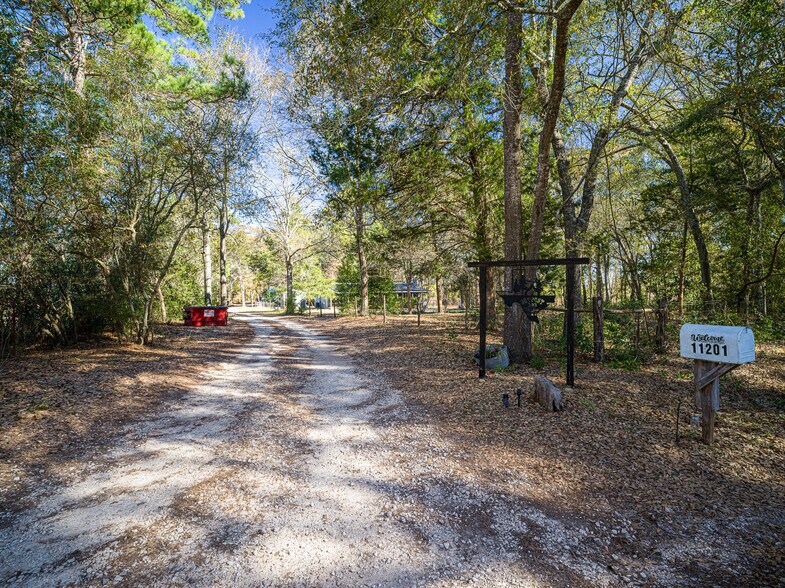 11201 County Road 203, Plantersville, TX à vendre - Photo du bâtiment - Image 3 de 63