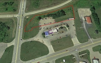 Plus de détails pour 2994 W Lansing Rd, Perry, MI - Terrain à vendre