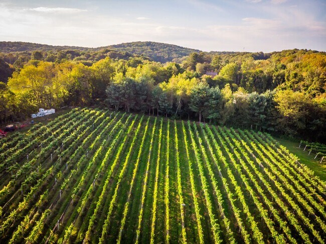 More details for 848 CT-171, Woodstock, CT - Specialty for Sale