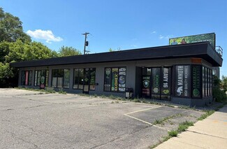Plus de détails pour 3430 Davison Rd, Flint, MI - Commerce de détail à louer