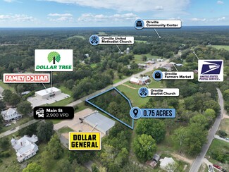 Plus de détails pour adj. to 14344 Main St, Orrville, AL - Terrain à vendre