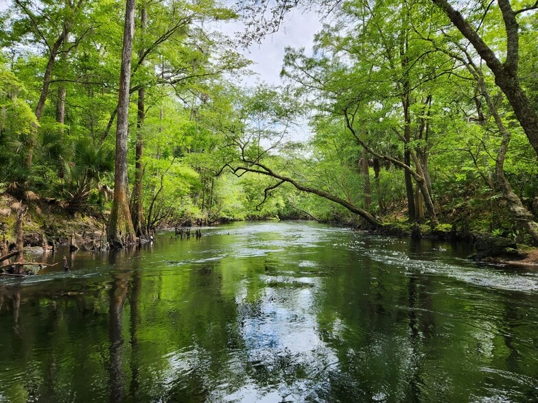 6939 SW 1 Federal Rd, Lamont, FL à vendre - Photo principale - Image 1 de 26