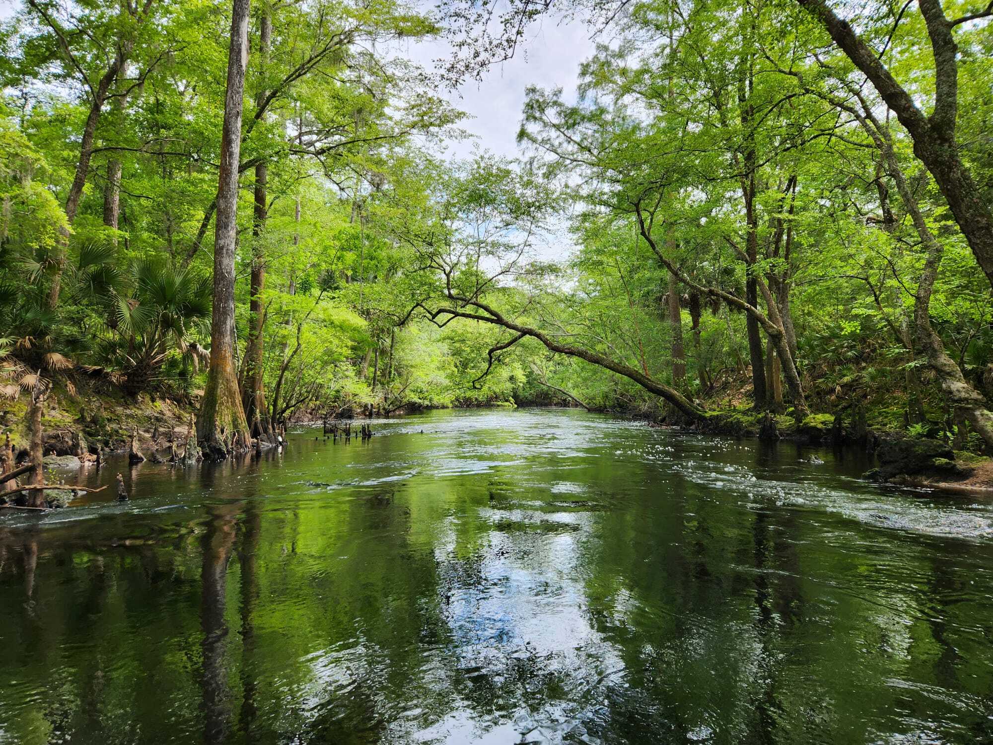 6939 SW 1 Federal Rd, Lamont, FL à vendre Photo principale- Image 1 de 27