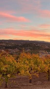 924-220-017 CA Riverside County, Temecula, CA à vendre - Vidéo sur l’inscription commerciale - Image 2 de 21