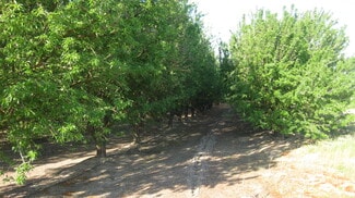 More details for 15270 S McCall Ave, Kingsburg, CA - Specialty for Sale