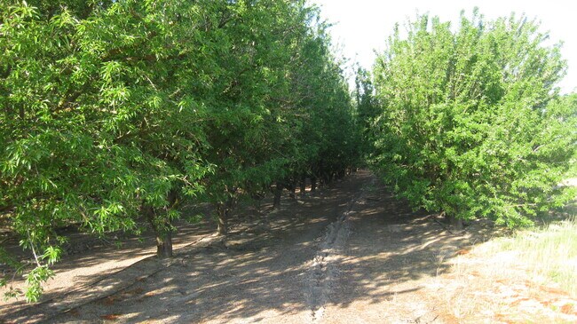 More details for 15270 S McCall Ave, Kingsburg, CA - Specialty for Sale