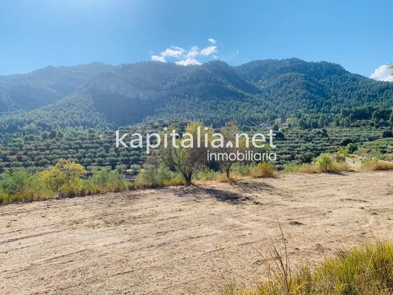 Land in Alfafara, Alicante for sale - Primary Photo - Image 1 of 12