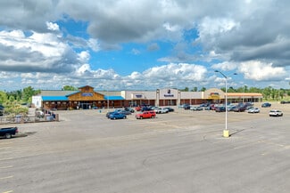 Plus de détails pour 4101 Lakeville Rd, Geneseo, NY - Commerce de détail à louer