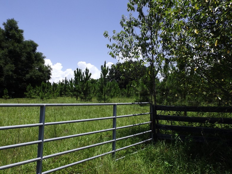 Myrtle Lake Ave, Fruitland Park, FL for sale - Primary Photo - Image 2 of 21