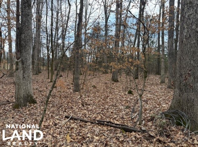 1351A Old Water Works Rd SW, Fort Payne, AL à vendre - Aérien - Image 3 de 18