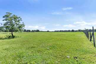 More details for 10077 Gallagher Rd, Dover, FL - Land for Sale