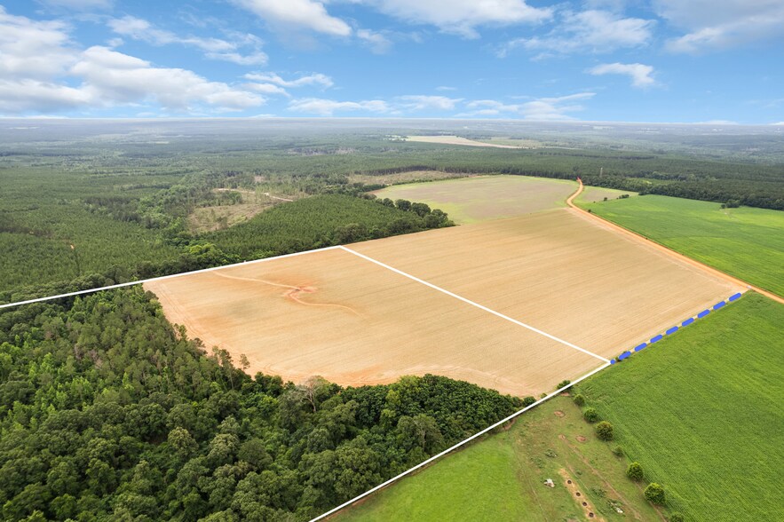 1 Old Stage rd, Repton, AL for sale - Building Photo - Image 1 of 19