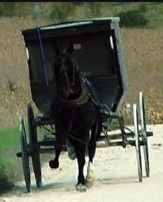 525 Main Ave N, Harmony, MN à vendre - Autre - Image 2 de 11