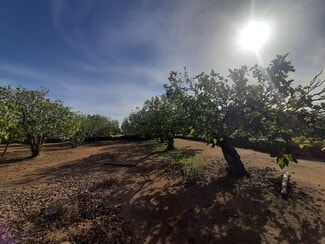 More details for el Pozo Pardo, Torre de Santa María - Land for Sale