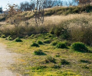 More details for Land for Sale