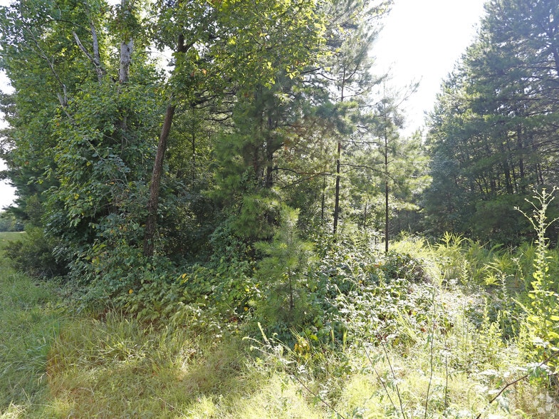 16265 Statesville Rd, Huntersville, NC for sale - Building Photo - Image 3 of 5