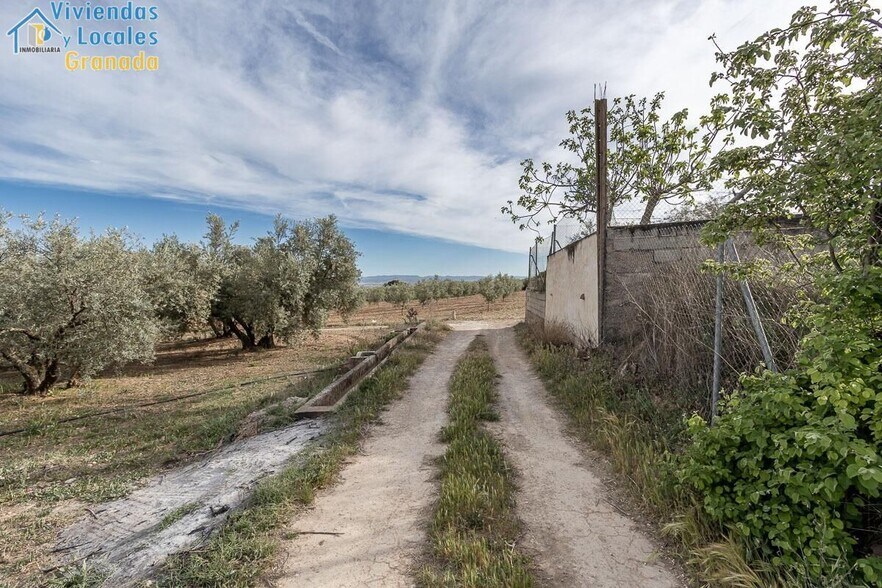 Pago de, Albolote, Granada à vendre - Photo du bâtiment - Image 3 de 14