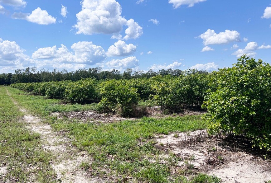 ORANGE AVENUE EXTENSION Ave, Fort Pierce, FL for sale - Other - Image 3 of 6