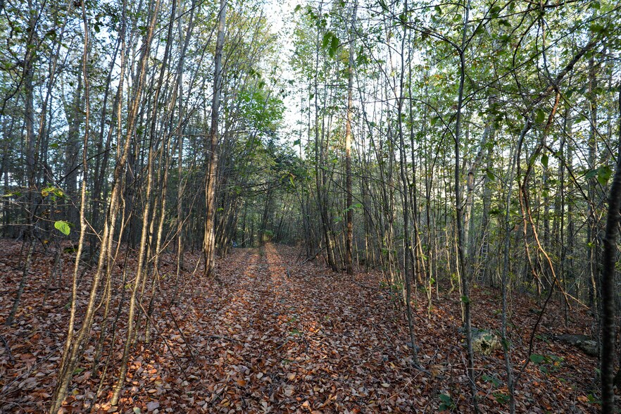 TBD NY-28, Phoenicia, NY à vendre - Photo du bâtiment - Image 3 de 14