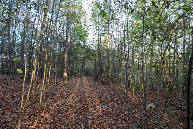 More details for TBD NY-28, Phoenicia, NY - Land for Sale