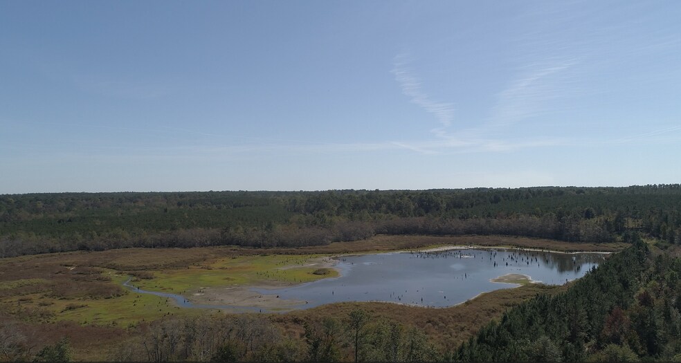 2202 Kennedy Bridge Rd, Register, GA for sale - Primary Photo - Image 1 of 14