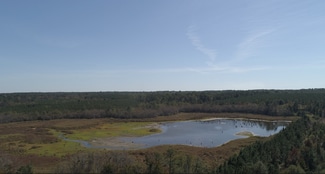 Plus de détails pour 2202 Kennedy Bridge Rd, Register, GA - Terrain à vendre