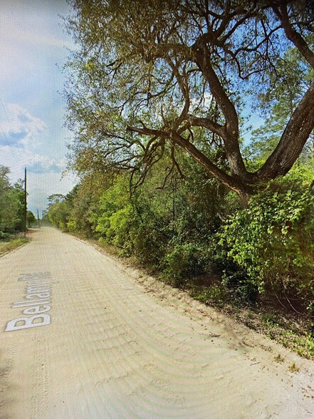 Lone Pine Trail, Melrose, FL à vendre - Autre - Image 3 de 12