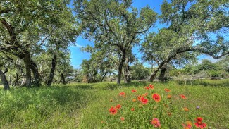 Plus de détails pour County Road 253, Bertram, TX - Terrain à vendre