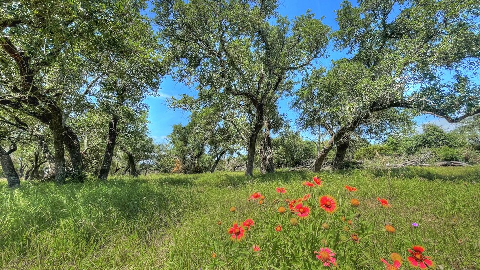 County Road 253, Bertram, TX à vendre - Photo principale - Image 1 de 37