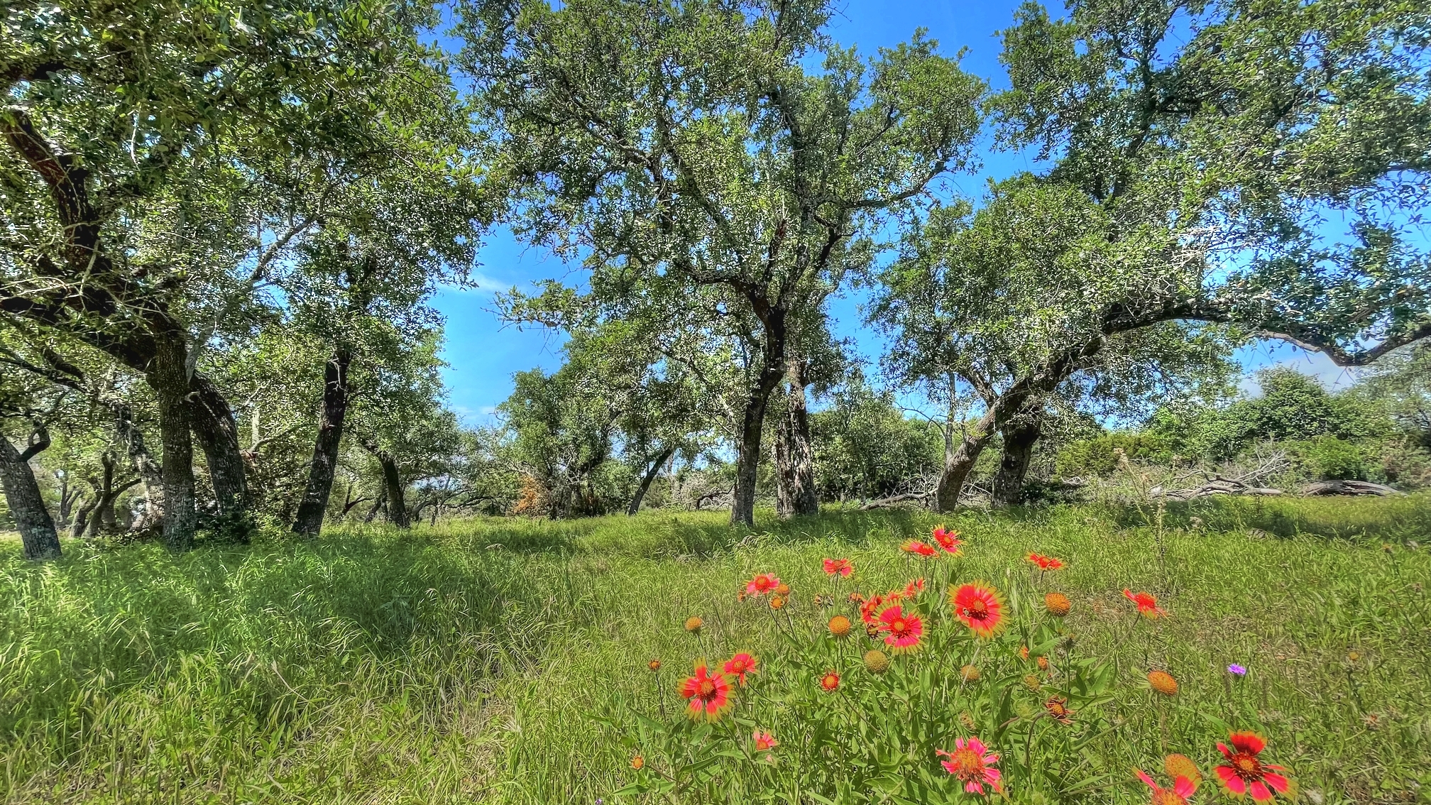 County Road 253, Bertram, TX à vendre Photo principale- Image 1 de 38