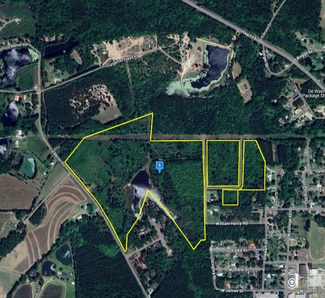 Plus de détails pour 2927 Old Claxton- Metter Hwy, Claxton, GA - Terrain à vendre