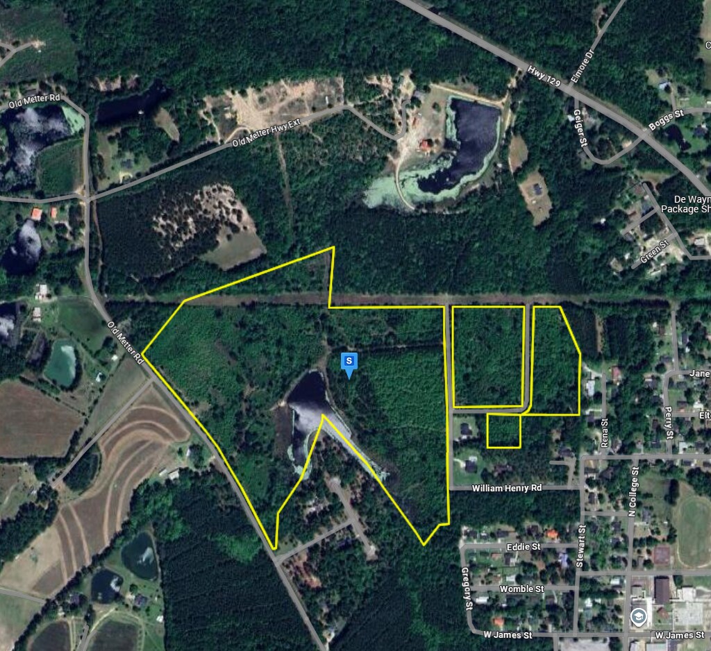 2927 Old Claxton- Metter Hwy, Claxton, GA à vendre Photo principale- Image 1 de 4