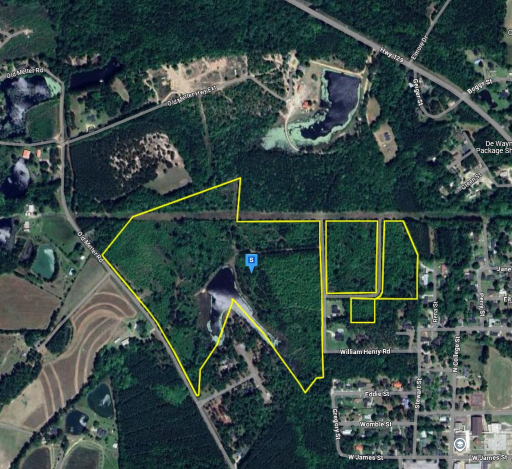 2927 Old Claxton- Metter Hwy, Claxton, GA for sale Primary Photo- Image 1 of 4