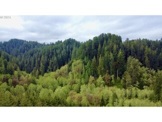 More details for 18-10-00-00-01300500, Mapleton, OR - Land for Sale