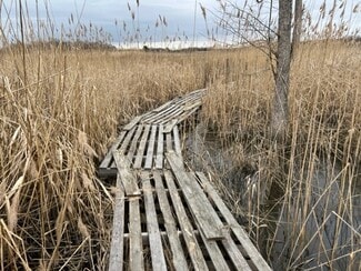 More details for 4298 McColley Rd, Milford, DE - Land for Sale