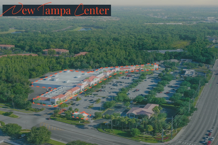 19002-19010 Bruce B Downs Blvd, Tampa, FL for lease - Aerial - Image 2 of 7